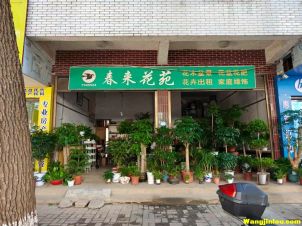 未来花苑  药都路店  7345522
